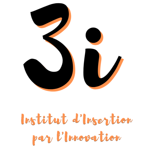 Institut d'insertion par l'innovation